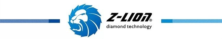 logo of z-lion banner